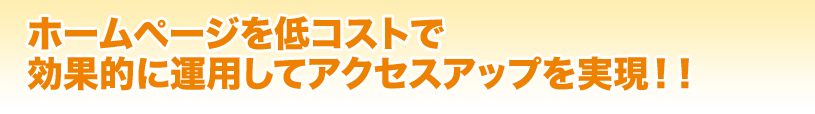 ホームページを低コストで効果的に運用しアクセスアップを実現!!