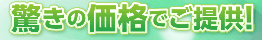 驚きの価格でご提供！
