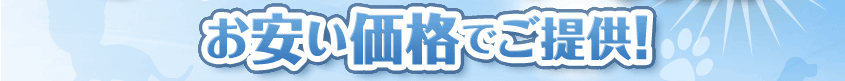 お安い価格でご提供!