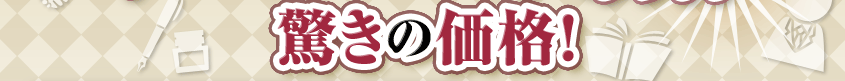 驚きの価格！