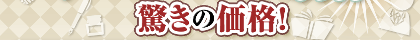 驚きの価格！