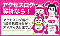 アクセスログ解析なら！ アクセスログ解析1級資格保持者がアドバイスします。