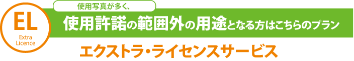 Extra Licence　使用写真が多く、使用許諾の範囲外の用途となる方はこちらのプラン　エクストラ・ライセンスサービス