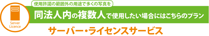 Server Licence　使用許諾の範囲外の用途で多くの写真を同法人内の複数人で使用したい場合にはこちらのプラン　サーバー・ライセンスサービス