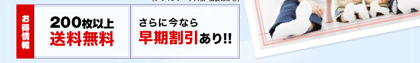 お得情報 200枚以上送料無料