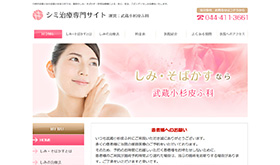 武蔵小杉皮ふ科　シミ治療専門サイト